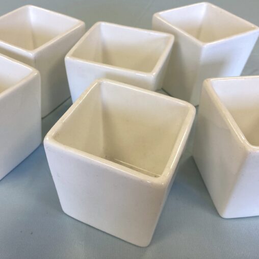 Small white pots for hire in Southampton